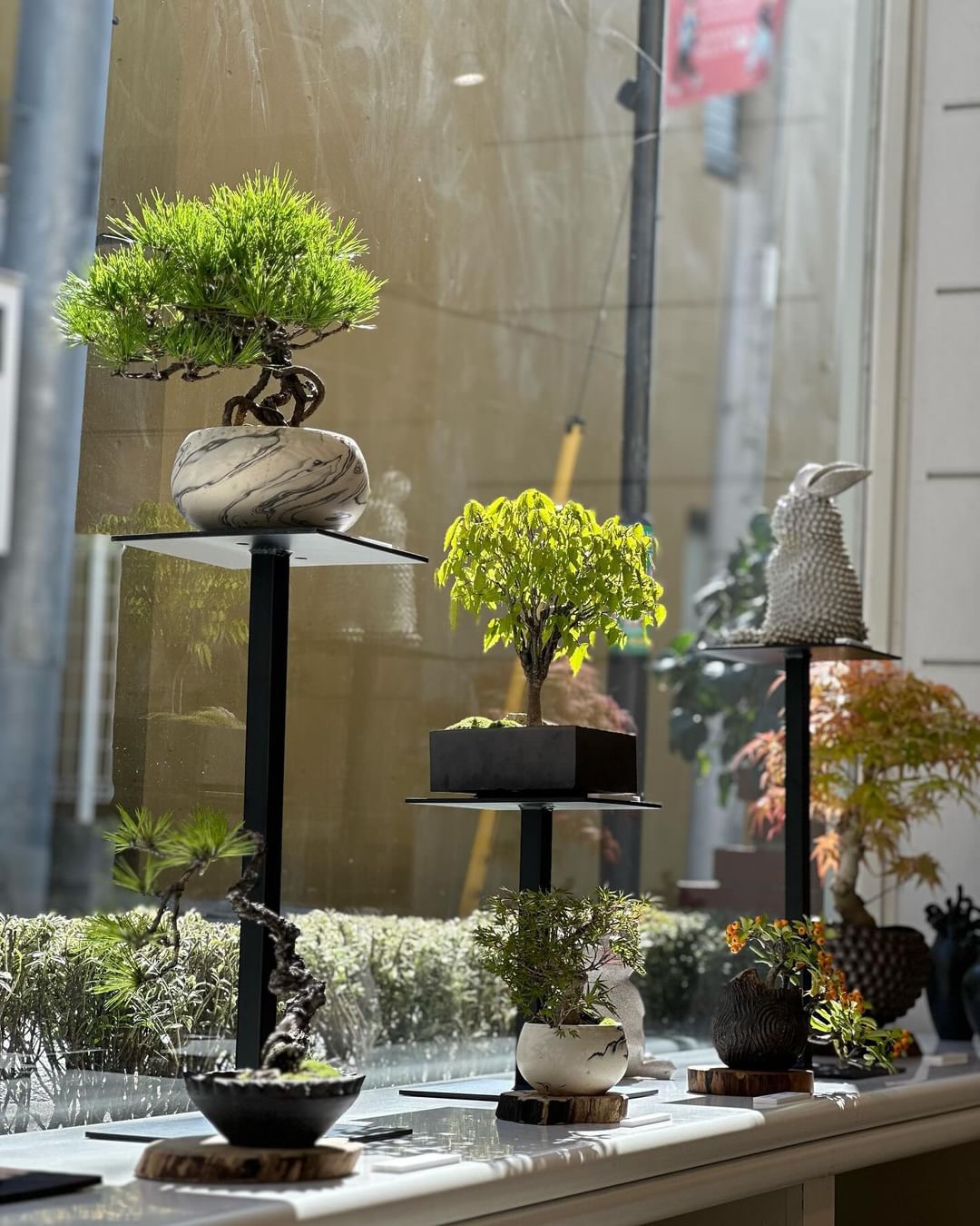 植物育成ライト専門店BARREL公式サイト